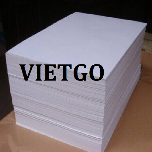 giay2-vietgo-230119